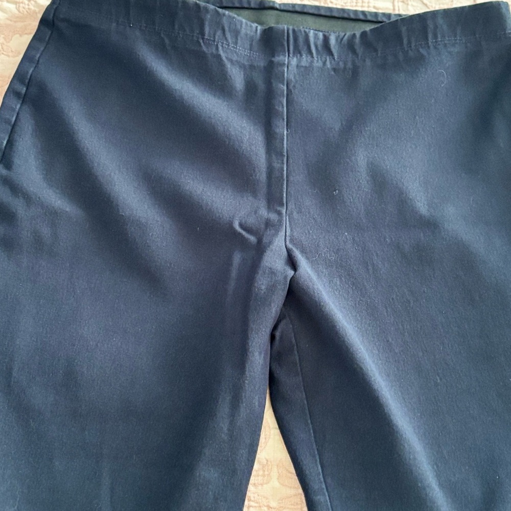 Karen Kane black pull‎ up pants large these are black ankle